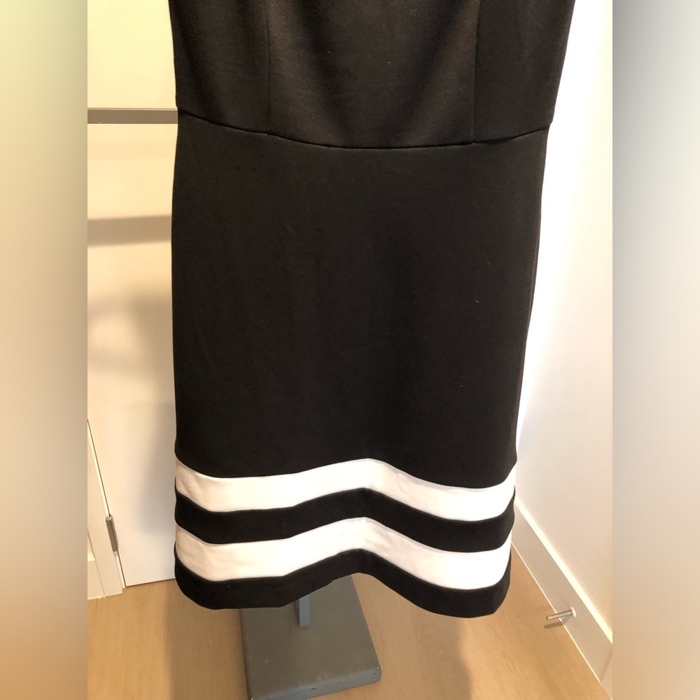 White House Black Market Fit and Flare Black and White Dress Size 8 - Picture 3 of 10